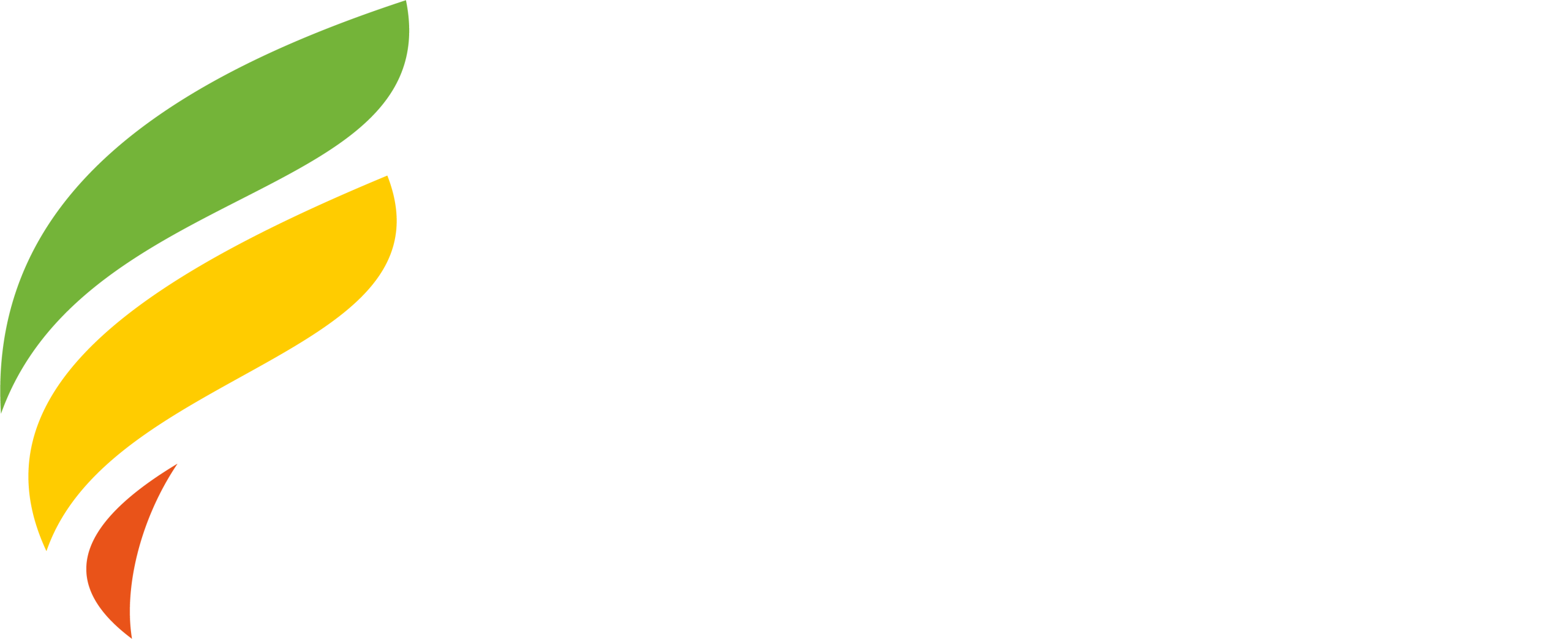 logo SicurGest oriz NEG